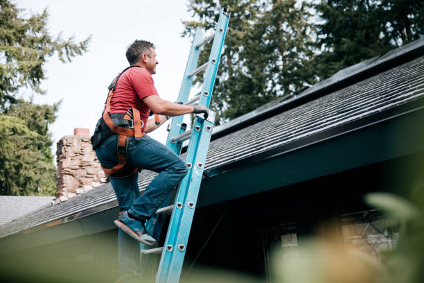 Best Solar Panel Roofing Installation  in Fillmore, UT